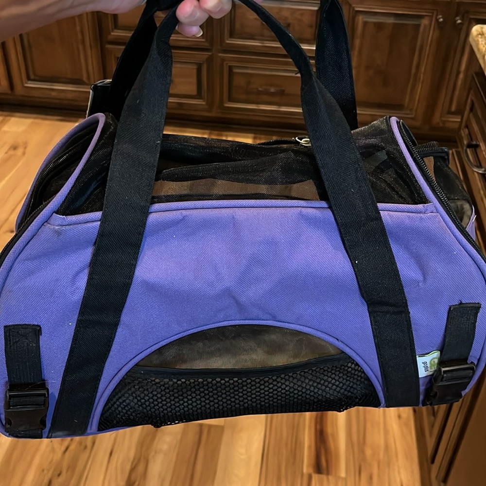 Pet Carrier Puppy Kitty Go Plus